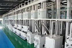 250 tpd automatic rice processing unit
